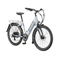 Anton Electric Bike with 8-Speed Shimano Shifting System, 26-in, Grey