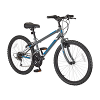 Reaction Youth HT Mountain Bike, 24-in, Grey