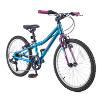 Vibe Youth Bike with Alloy V-brakes, 20-in, Blue