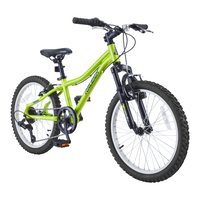 GOAT Youth Bike with V-brakes, 20-in, Green