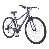 Entourage City Bike, Aluminum Frame, 700C, Purple