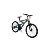 Adrenaline Youth DS Mountain Bike 24-in, Grey