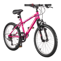 Impulse Youth HT Mountain Bike with 5-Speed Grip Shifting System, 20-in