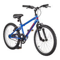 Charge Youth Bike with V Brakes, 20-in