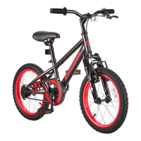Valley Mountain Kids' Bike with Front V Brakes, 16-in