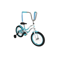Misfit Kids' Bike with Training Wheels, 16-in, Blue