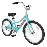 Sunrise Youth Cruiser Bike,  20-in Wheel, Teal