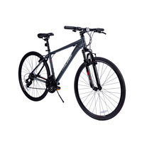 Overtake Hybrid Bike, 700C, Black