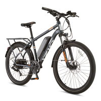 Tangent All-Terrain 48V Electric Bike with Storage Carrier, 26-in Wheel, Grey