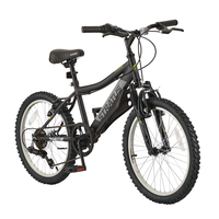 Black Torsion Youth Bicycle, 6-Speed, V-brakes, 20-in Wheel, Black