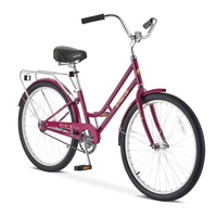 Adult Recess Bicycle, 24-in Wheel, Single Speed, Steel Frame, Purple