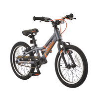 Meteor Kids Bike with Reflectors, 16-in Wheel, Grey