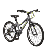 Meteor Youth Bike with Reflectors, 7-Speed, 20-in Wheel, Grey
