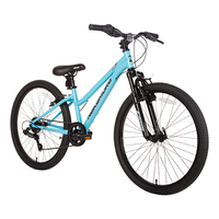 Pristine Junior Hardtail Mountain Bike, 7-Speed, 24-in