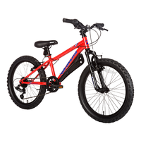 Juvy Junior Youth Bike, 6-Speed, 20-in