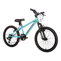 Meyou Junior Youth Bike, 6-Speed, 20-in