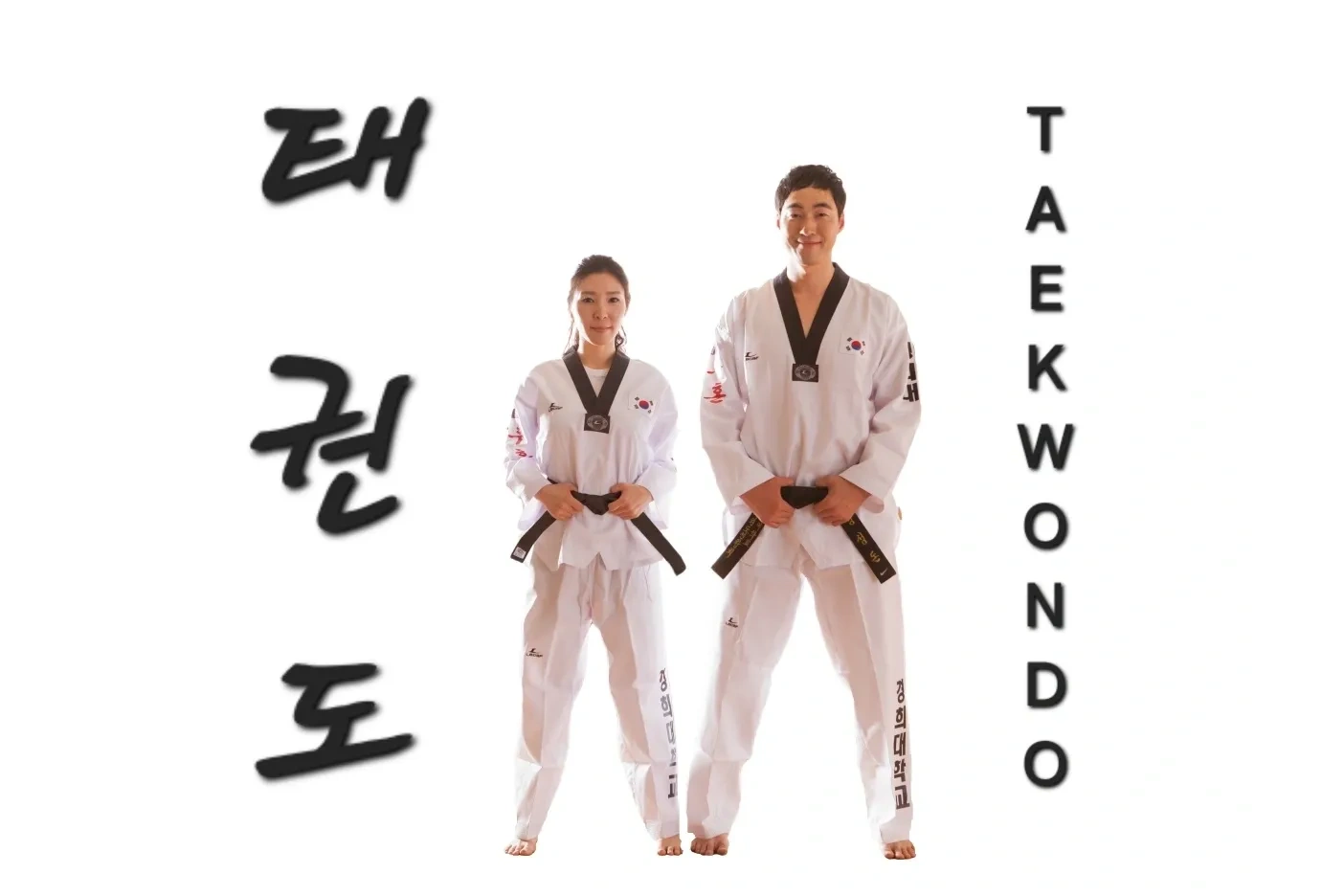 Black Tiger Taekwondo Academy training class