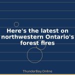 Fairs festivals and fundraisers many things to do in Thunder — August 15, 8:05PM